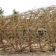 Illustration for article titled Chinese Farmers Build Birds Nest Stadium Out of Bamboo